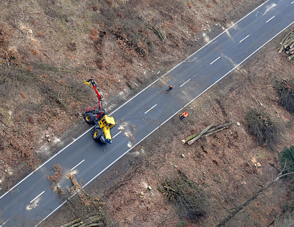 Die Luftaufnahme vom Dienstag (27.01.2009) zeigt Baumfällarbeiten an einer...