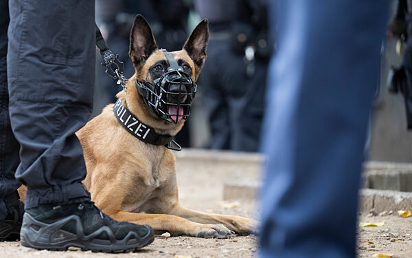 Drogenrazzia im Frankfurter Bahnhofsviertel