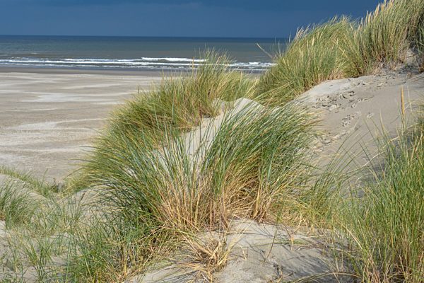 Terschelling, Netherlands,