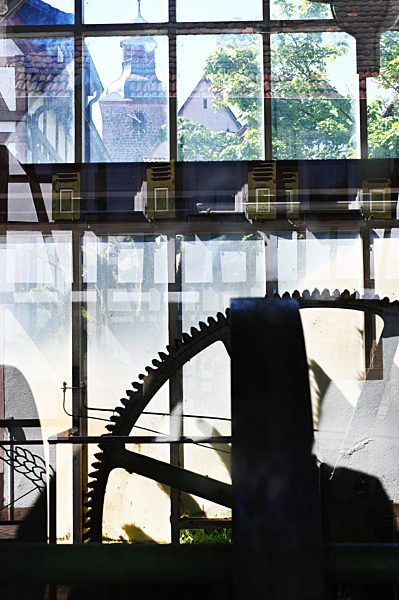 (Pfaelzer Forest 2019