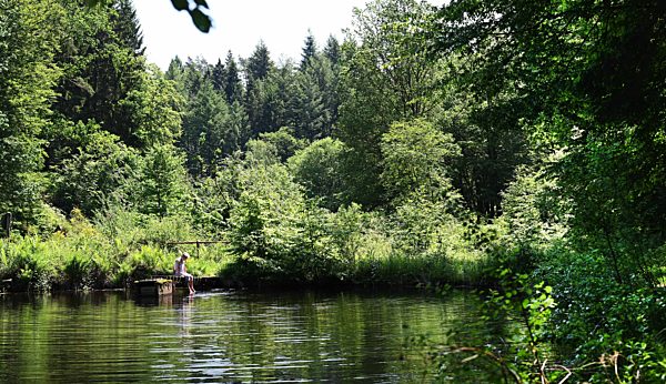 (Pfaelzer Forest 2019