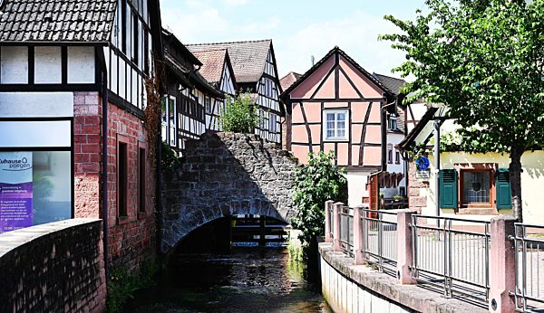 (Pfaelzer Forest 2019