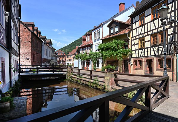 (Pfaelzer Forest 2019