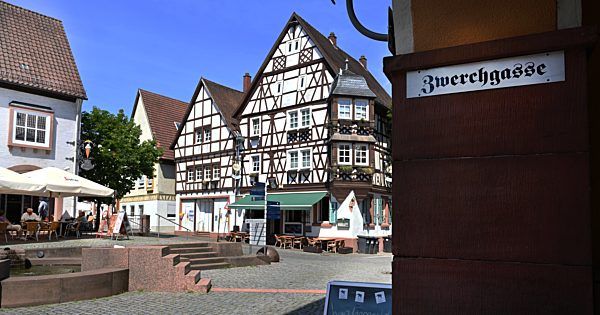 (Pfaelzer Forest 2019