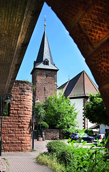 (Pfaelzer Forest 2019