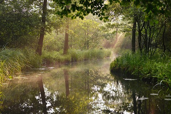 Biosphaerenreservat Spreewald