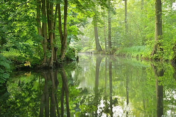 Spreewald - unique UNESCO biosphere reserve