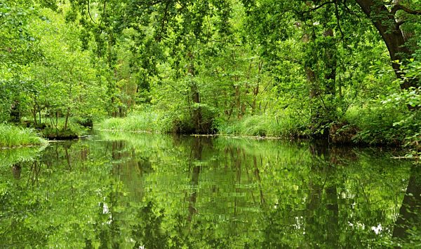Spreewald - unique UNESCO biosphere reserve