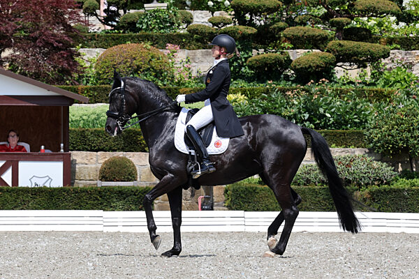 Schafhofs Dressurfestival 2023