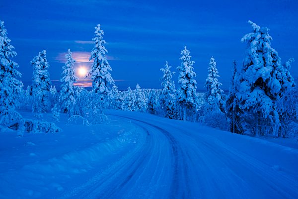 Super moon (full moon) landscape, Lapland, Pallas-YllÃ_stunturi National Park, Finland