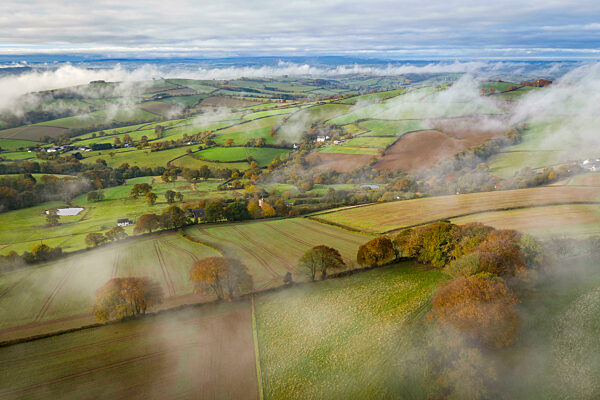 Rolling countryside on a misty autumnal morning near Cadbury, mid Devon, England. Autumn (November) 2021.