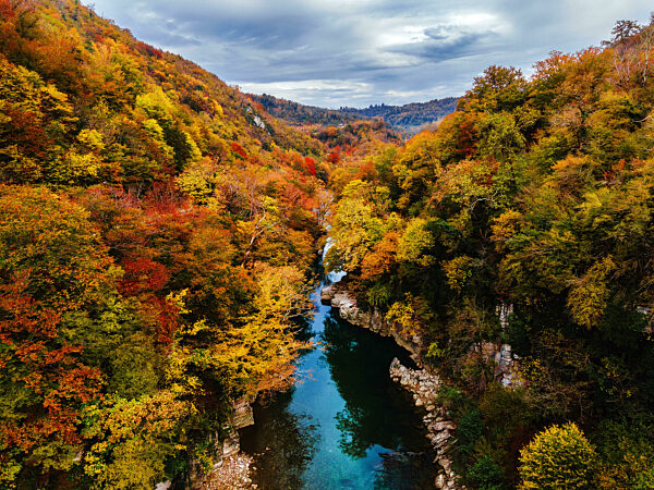A river surrounded with autumn colors in Jikha, Samegrelo, Sakartvelo, Georgia, Asia