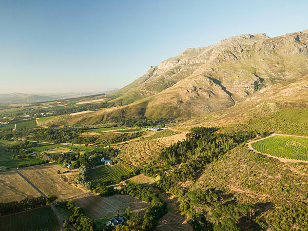 Aerial view of wine vineyards near Stellenbosch, Western Cape, South Africa