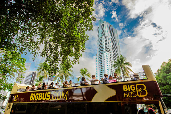 Big Bus Tour in Miami