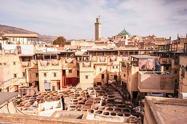 Tannerie Chouara, Fes, Morocco.