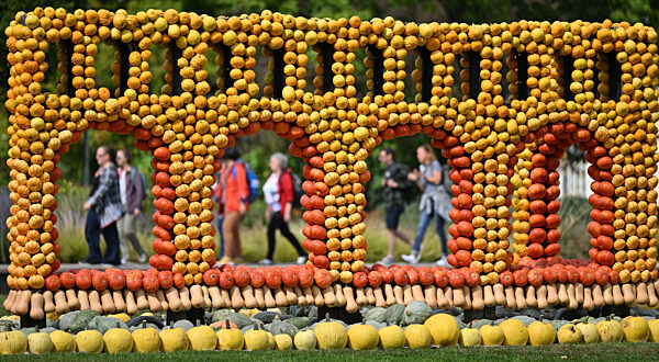 Kürbisausstellung im egapark Erfurt