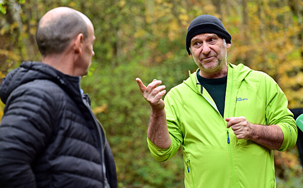 Schäden durch Borkenkäfer und Dürre im Thüringer Wald