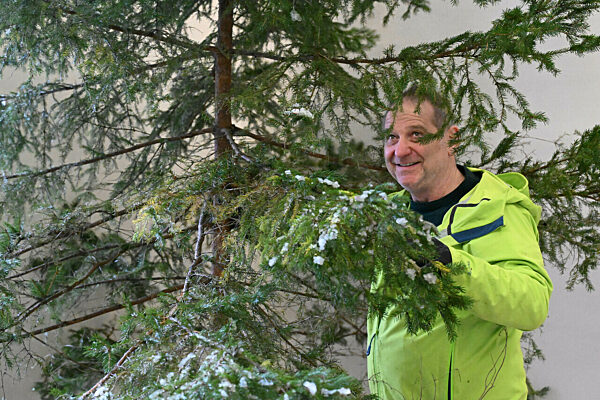 Weihnachtsbaum für das Umweltministerium Thüringen