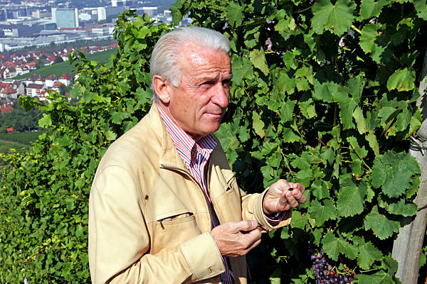 VfB-Trainer Trapattoni besichtigt Stuttgarter Weinberge