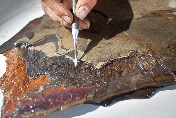 UNESCO-Welterbe Grube Messel