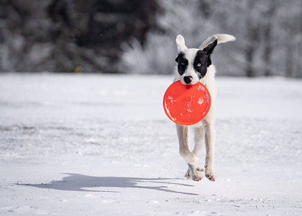 Wetter - Schnee im Taunus