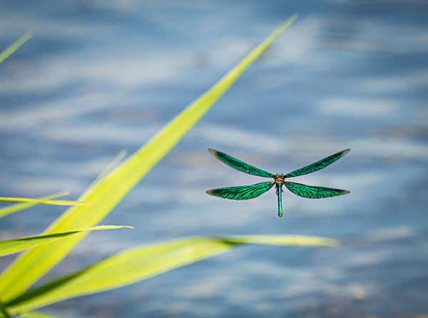 Naturidyll im Spessart