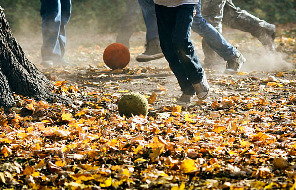Bolzen auf herbstlichem Boden
