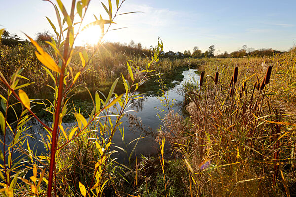 Renaturierte Boye, Nebenfluss der Emscher, Emscherumbau, Bottrop, Nordrhein-Westfalen, Deutschland