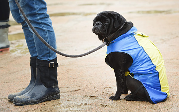 Wechselhaftes Wetter an der  Ostsee