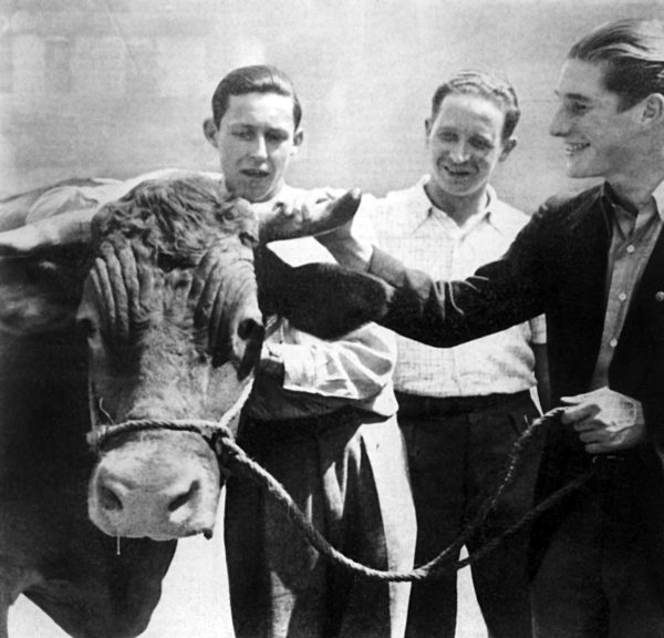 Der für den Karlsruher FV spielende Haas (l)...