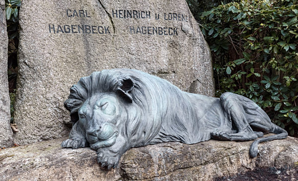 Neuer Bronzelöwe auf der Grabstätte von Carl Hagenbeck
