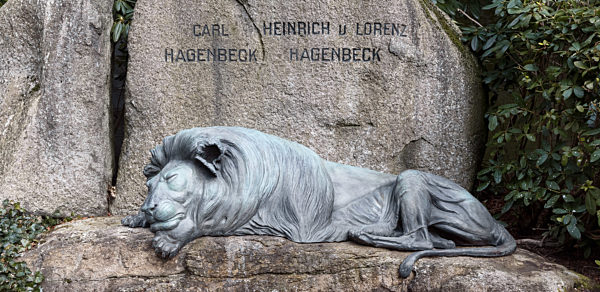 Neuer Bronzelöwe auf der Grabstätte von Carl Hagenbeck