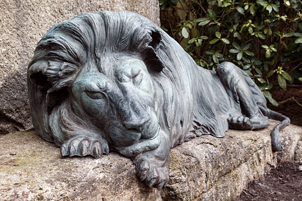 Neuer Bronzelöwe auf der Grabstätte von Carl Hagenbeck