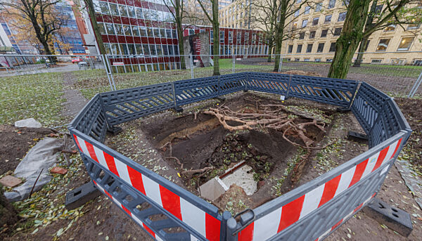 Suche nach Resten der Bornplatzsynagoge