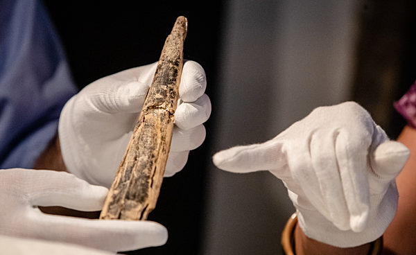 Neue Elfenbeinfunde in der Welterbe-Höhle "Hohle Fels"