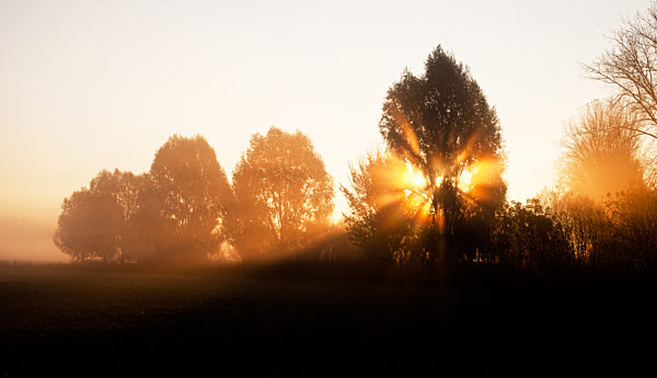 Goldener Herbstmorgen