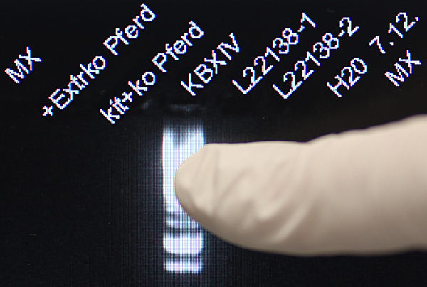 Berliner Landeslabor testet  Lebensmittelproben