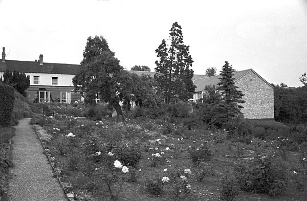 Fußball WM 1966 -  Randbilder