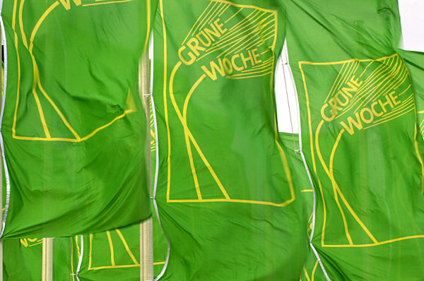 Fahnen mit dem Logo der Grünen Woche in Berlin