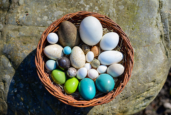 Saisonstart im Weltvogelpark Walsrode