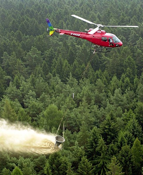 Waldkalkung gegen Bodenübersäuerung