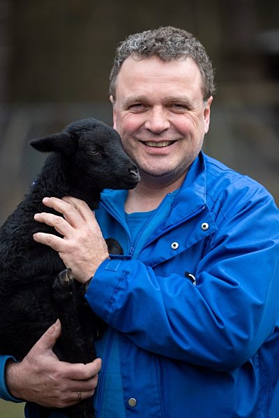 Bunte Lämmer durch Corona