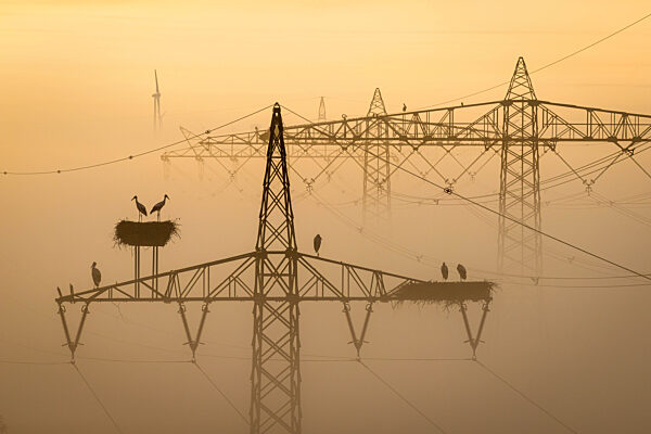 Wetter in Niedersachsen