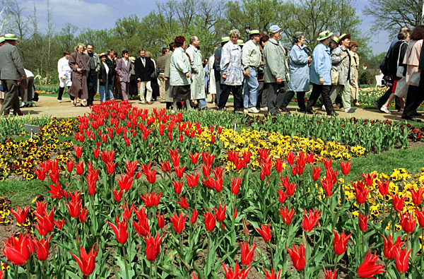 BUGA - Cottbus (Archivfoto und Text 1995)