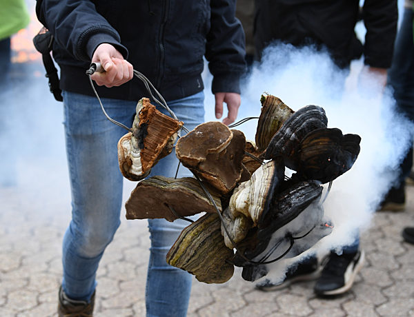 Osterschwämme in St. Peter