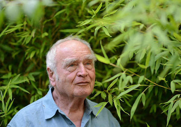 EXCLUSIVE: Martin Walser