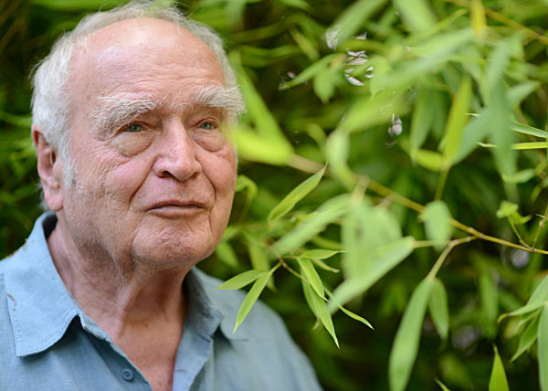 EXCLUSIVE: Martin Walser