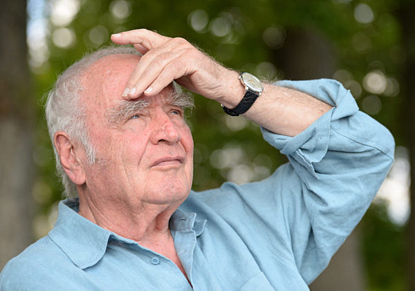 EXCLUSIVE: Martin Walser