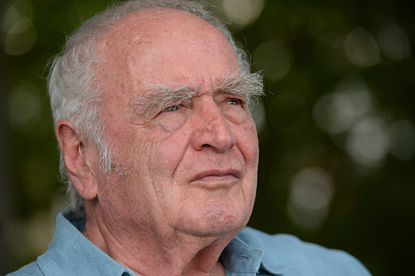 EXCLUSIVE: Martin Walser