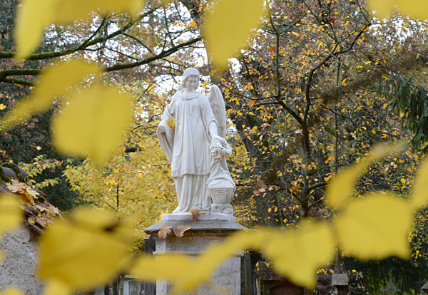 Alter Friedhof in Freiburg